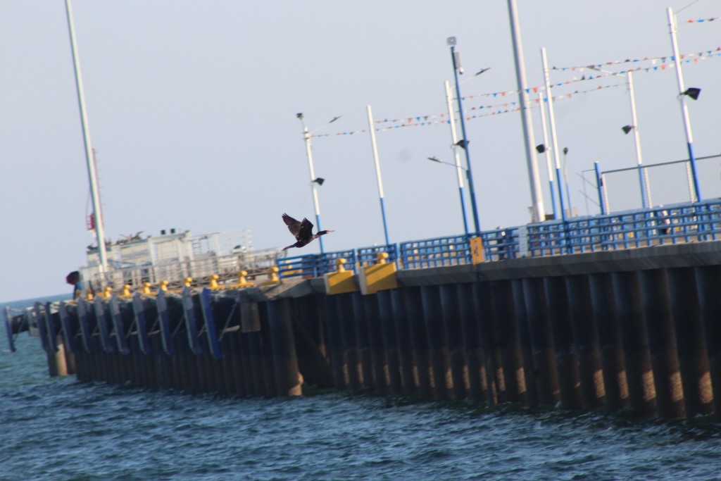 Foto de Playa central (Puntarenas), Costa Rica