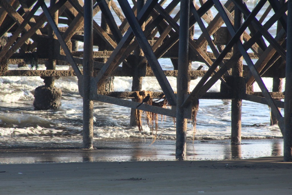 Foto de Playa central (Puntarenas), Costa Rica