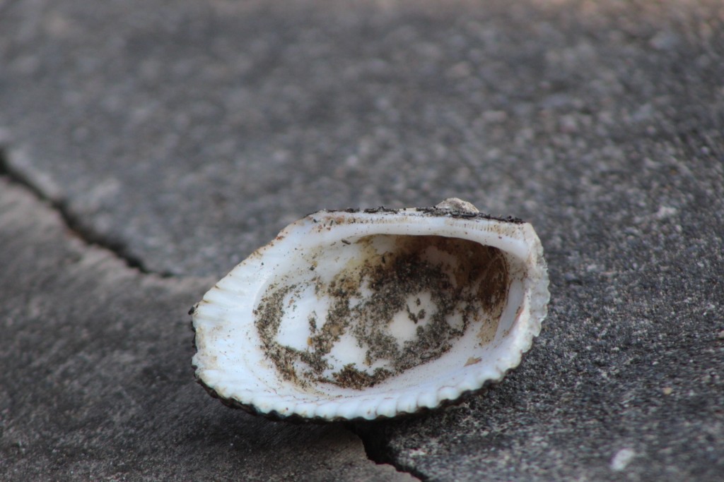 Foto de Playa central (Puntarenas), Costa Rica