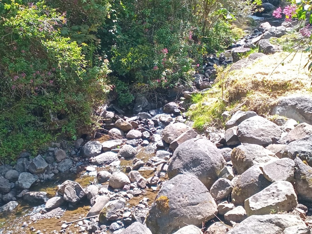 Foto: Hotel Selva Madre - Cañon del Guarco (Cartago), Costa Rica