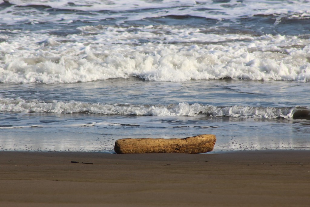 Foto de Playa central (Puntarenas), Costa Rica
