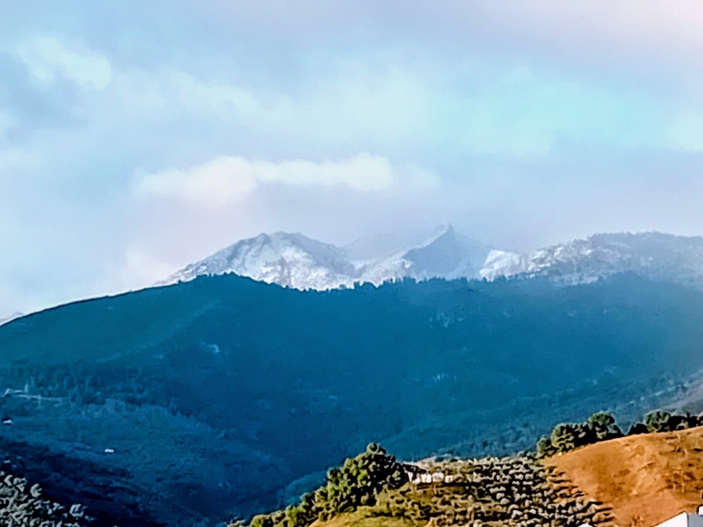 Foto: Torrecilla nevada - Yunquera (Málaga), España