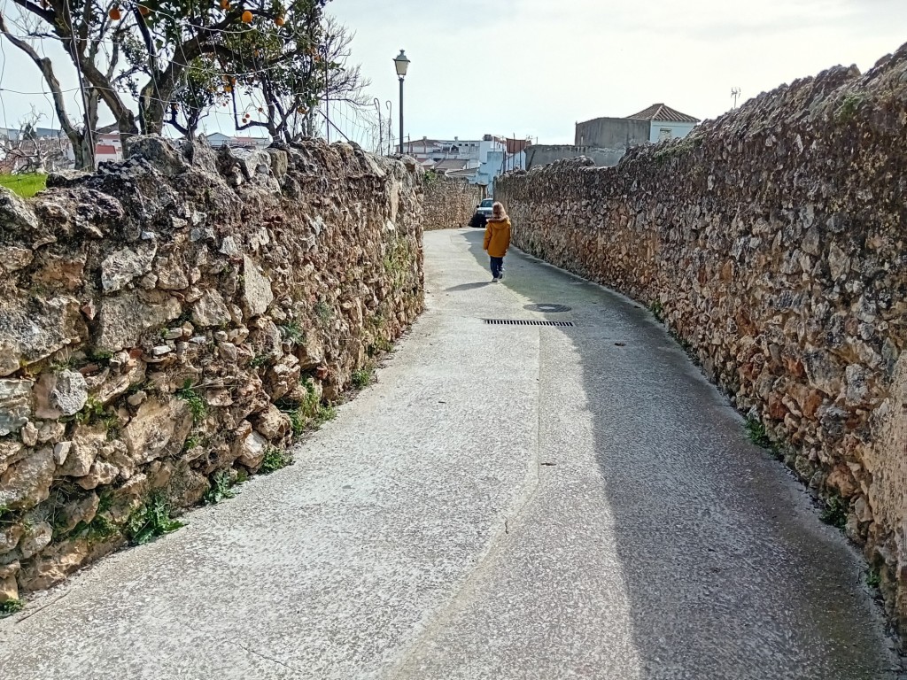 Foto: camino de la Tornera a la Ladera Camara - Yunquera (Málaga), España
