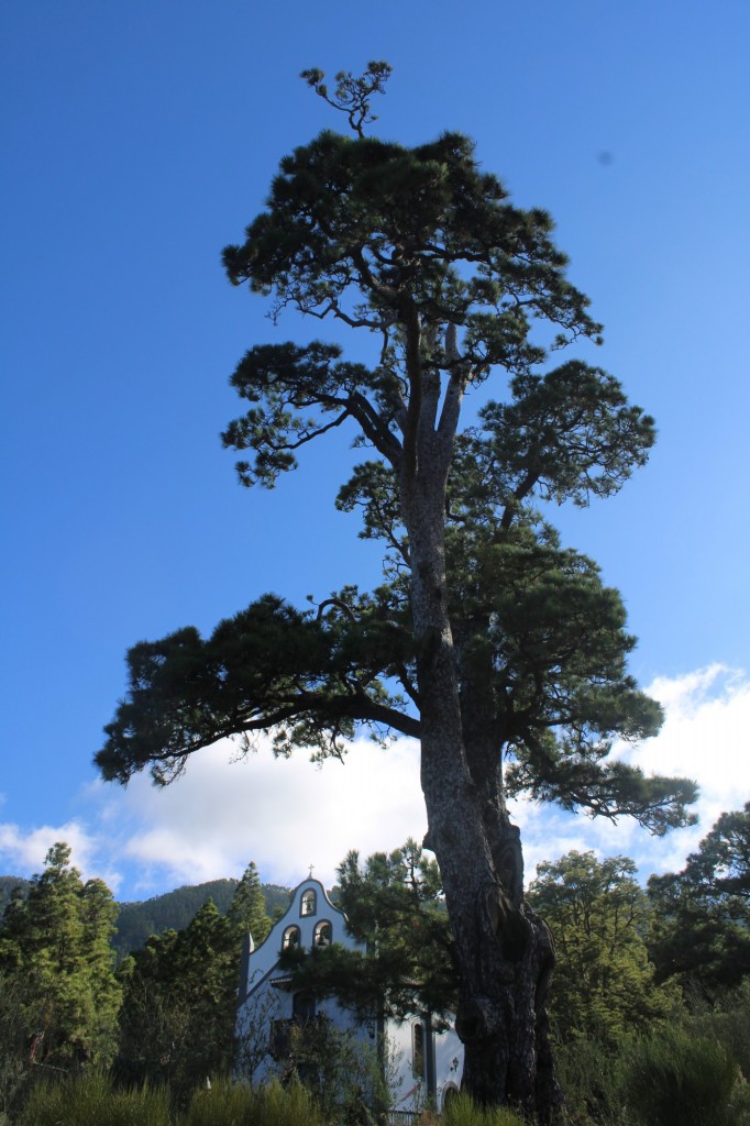Foto: Ermita de la Virgen del Pino - El Paso, La Palma (Santa Cruz de Tenerife), España