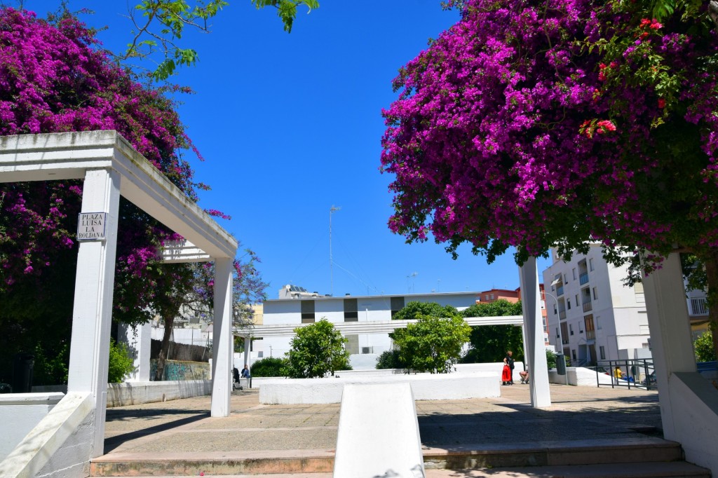 Foto: Plaza Luisa la Roldana - Cádiz (Andalucía), España