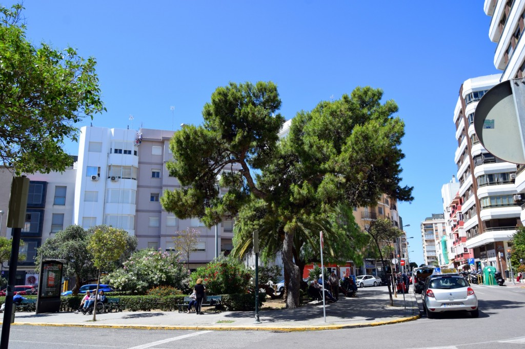 Foto: Plaza de Santo Tomás - Cádiz (Andalucía), España