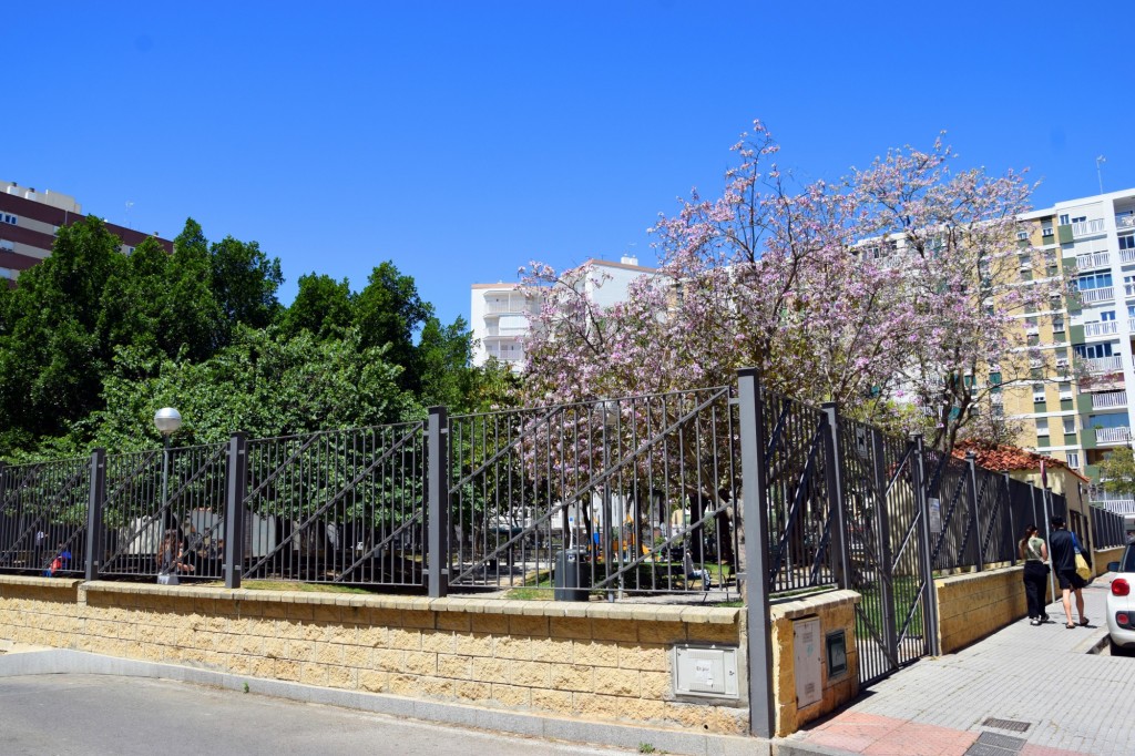 Foto: Parque Reina Sofía - Cádiz (Andalucía), España