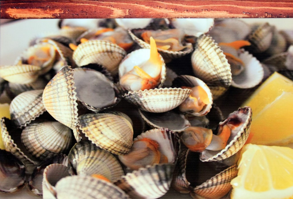 Foto: Almejas - Cádiz (Andalucía), España