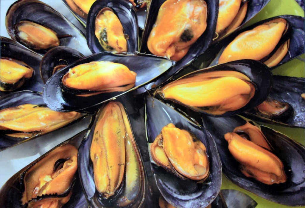 Foto: Mejillones - Cádiz (Andalucía), España