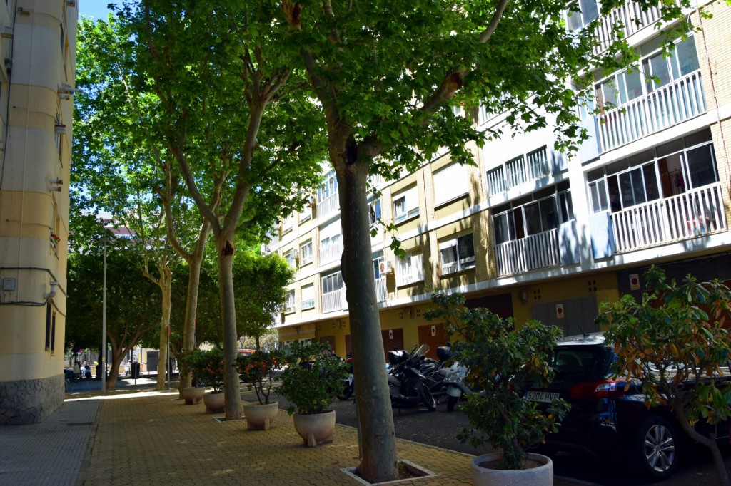 Foto: Calle Capataz Manuel Pájaro - Cádiz (Andalucía), España