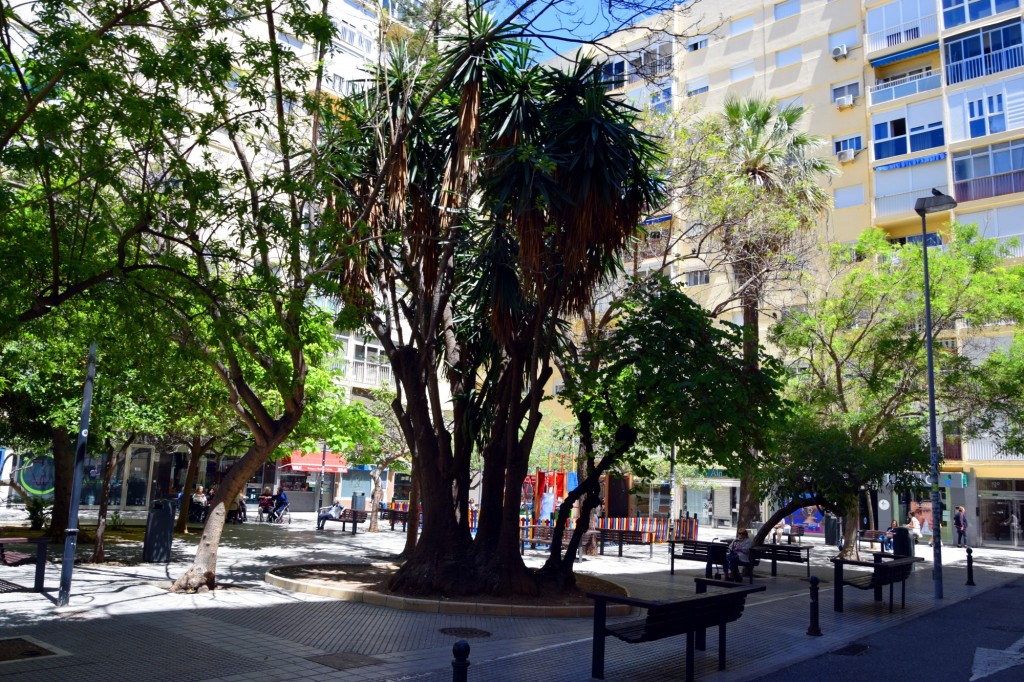Foto: Plaza Pintor Clemente de Torres - Cádiz (Andalucía), España