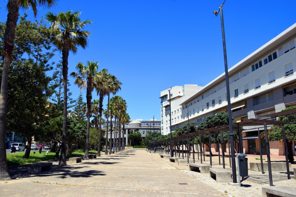 Foto: Avenida Periodista Beatriz Cienfuegos - Cádiz (Andalucía), España