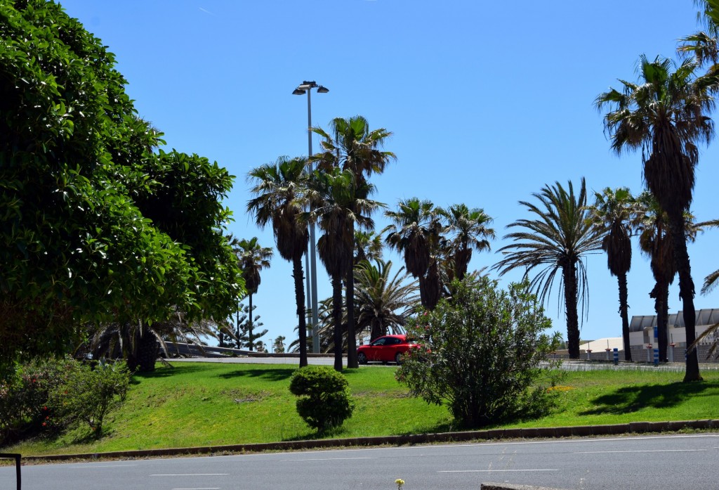 Foto: Gta. Cortadura - Cádiz (Andalucía), España