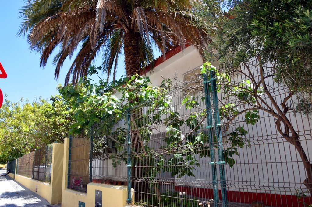 Foto: Colegio Profesor Tierno Galván - Cádiz (Andalucía), España