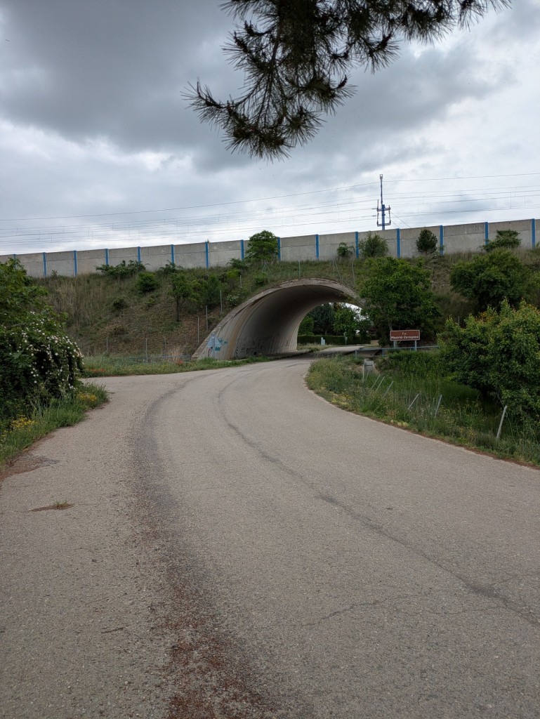 Foto: Vega de Hiruelas - Calatayud (Zaragoza), España
