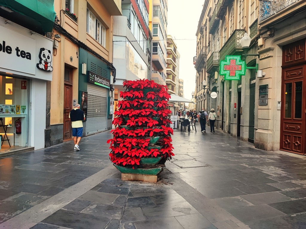 Foto: Calle Triana - Las Palmas de Gran Canaria (Las Palmas), España