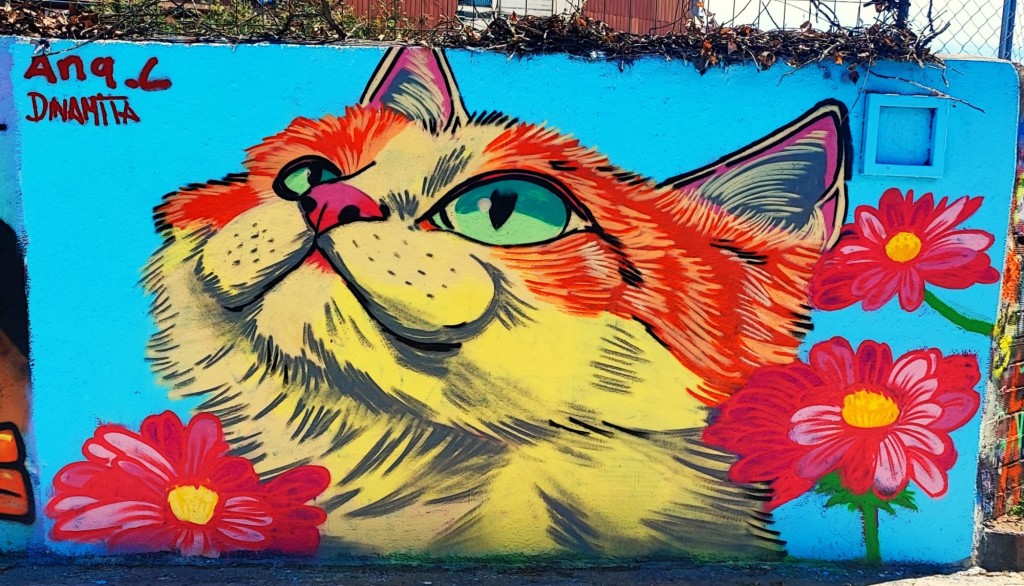 Foto: Grafitti Urbano - Barcelona (Cataluña), España