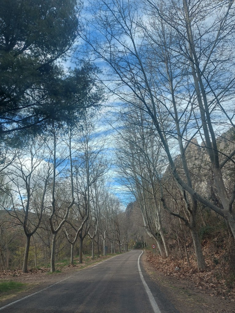 Foto: Carretera a Deza - Embid de Ariza (Zaragoza), España