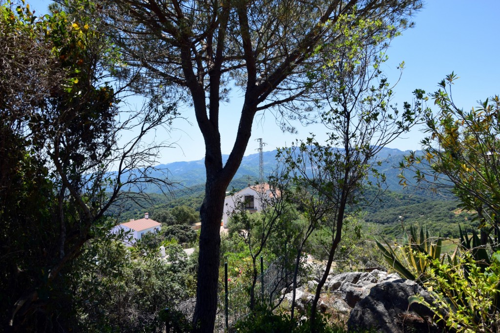 Foto de Alpandeire (Málaga), España