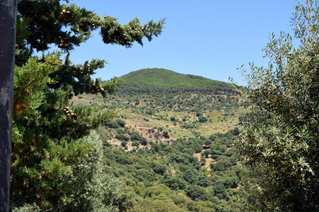 Foto de Alpandeire (Málaga), España