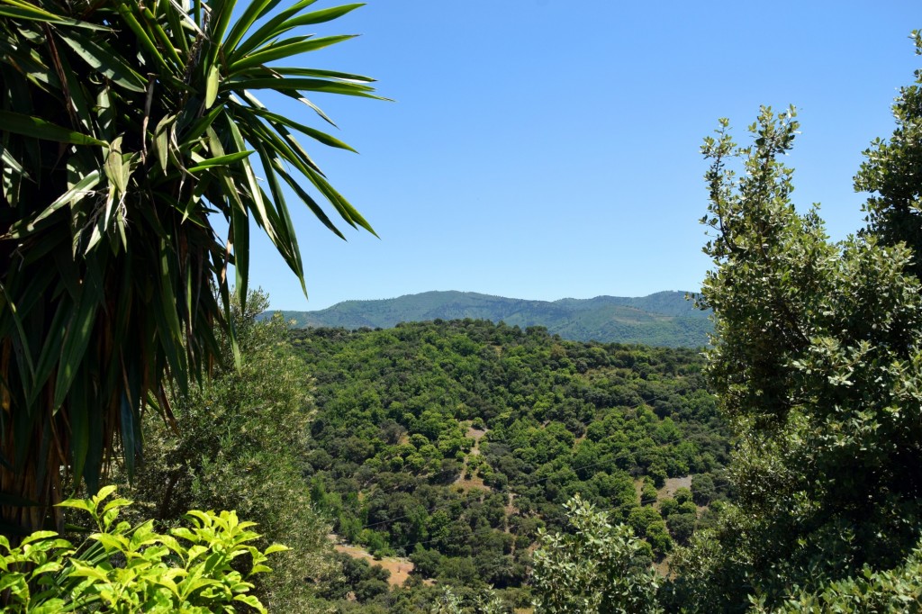 Foto de Alpandeire (Málaga), España