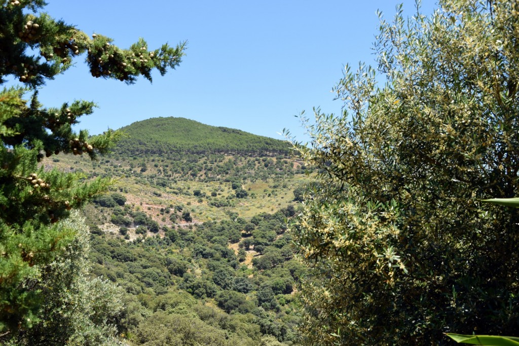 Foto de Alpandeire (Málaga), España