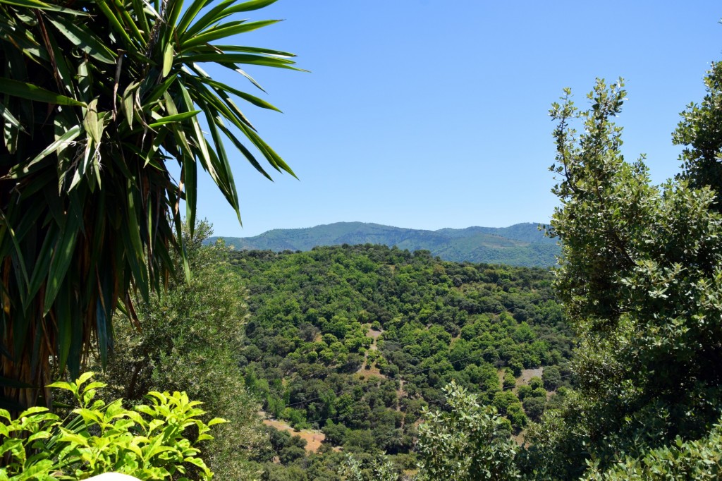 Foto de Alpandeire (Málaga), España