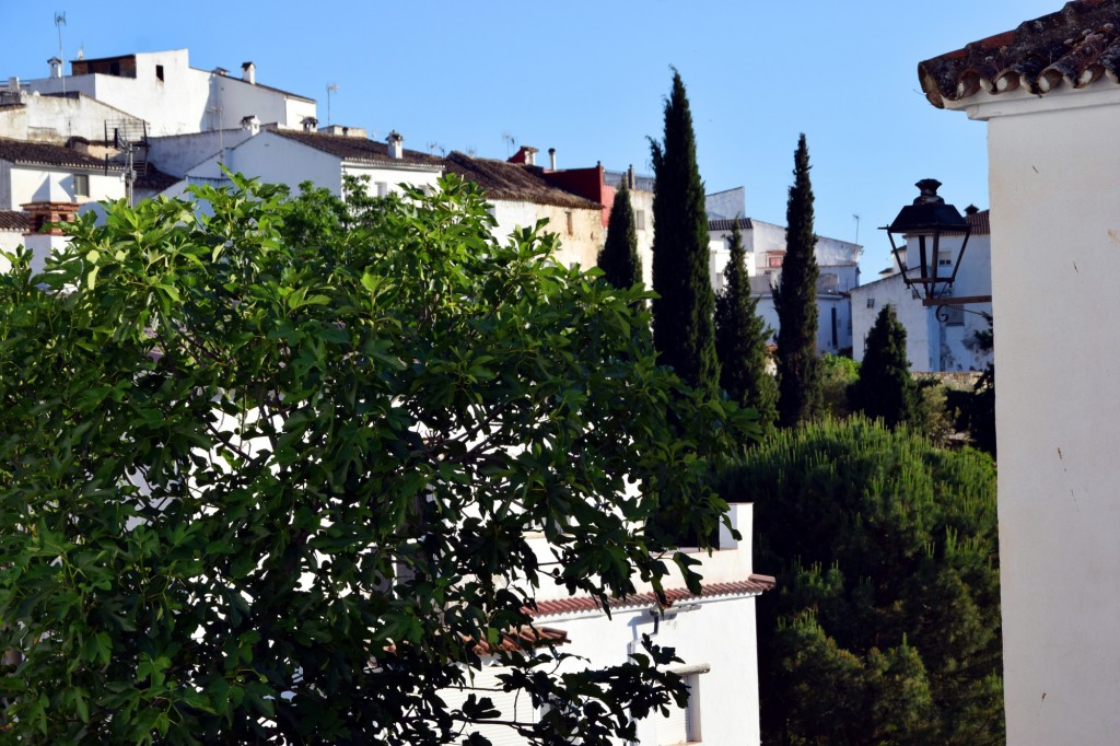 Foto de Parauta (Málaga), España
