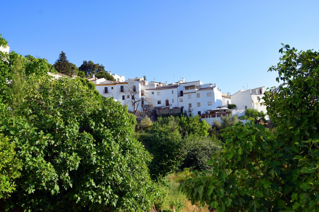 Foto de Parauta (Málaga), España