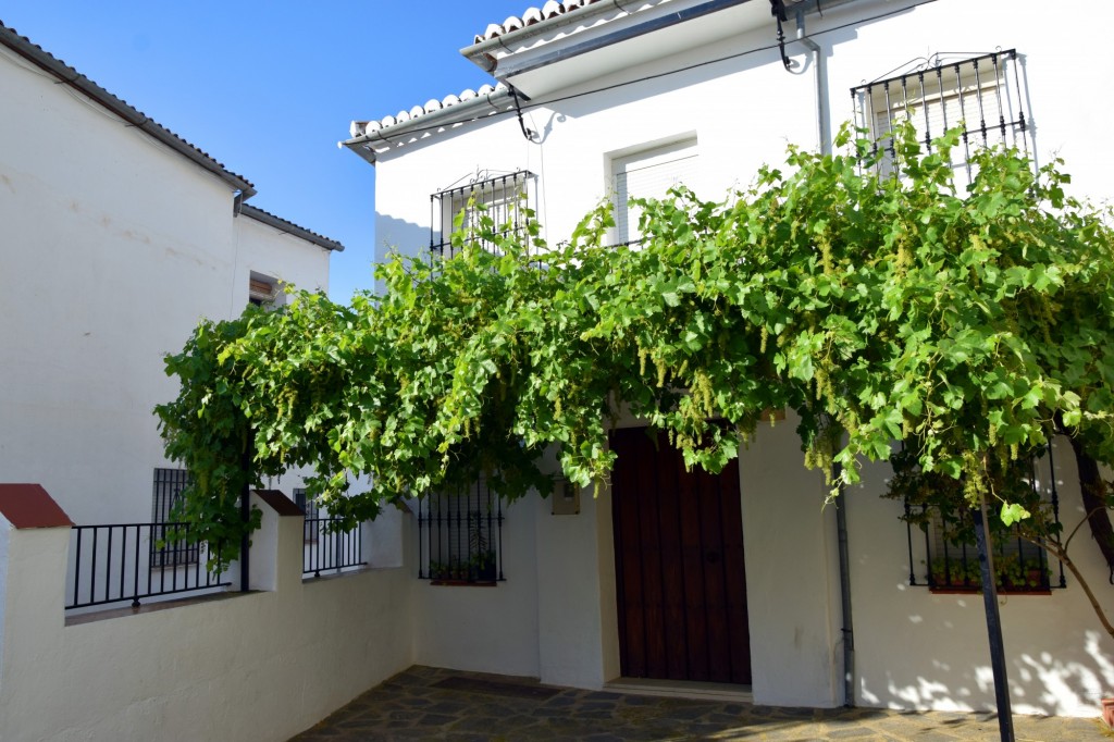 Foto de Parauta (Málaga), España