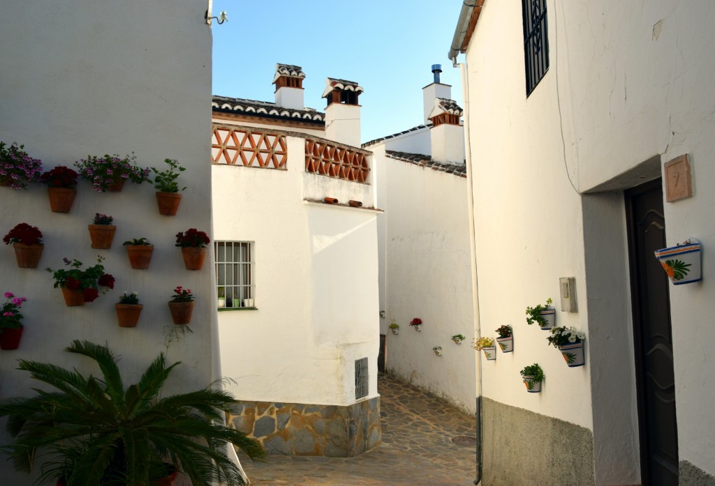 Foto de Parauta (Málaga), España