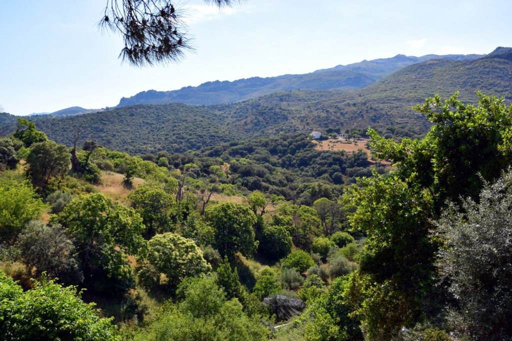 Foto de Parauta (Málaga), España
