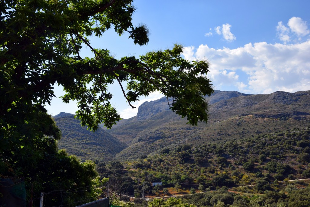 Foto de Parauta (Málaga), España