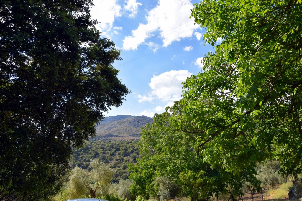 Foto de Parauta (Málaga), España