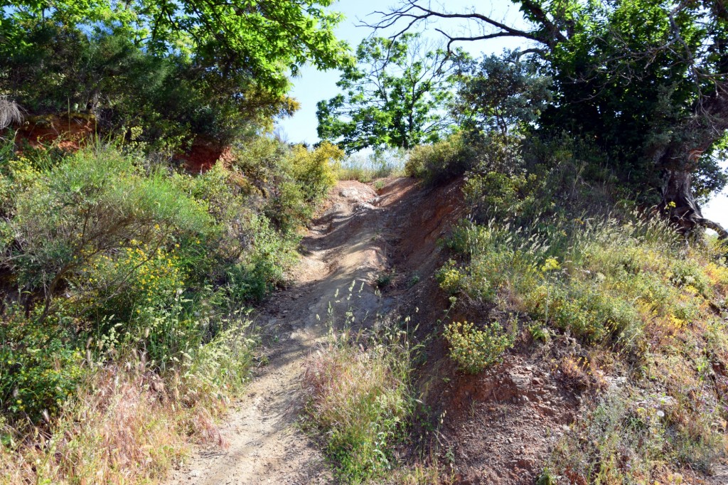 Foto de Parauta (Málaga), España