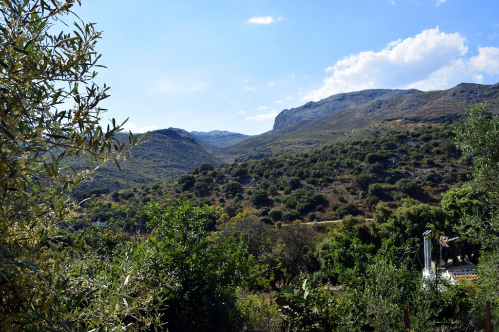 Foto de Parauta (Málaga), España