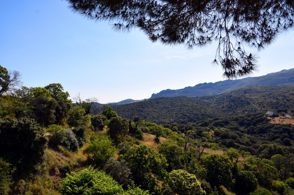 Foto de Parauta (Málaga), España