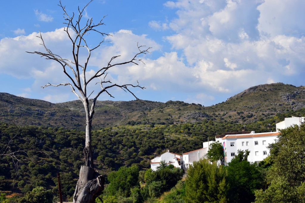 Foto de Parauta (Málaga), España