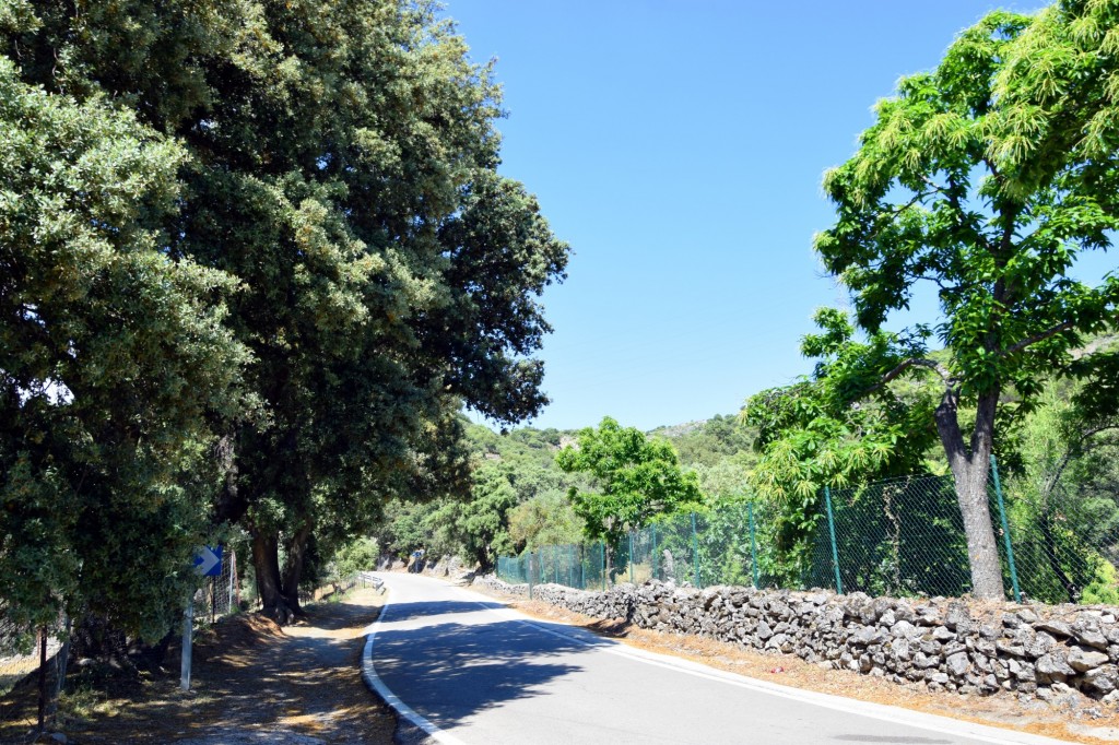Foto de Parauta (Málaga), España