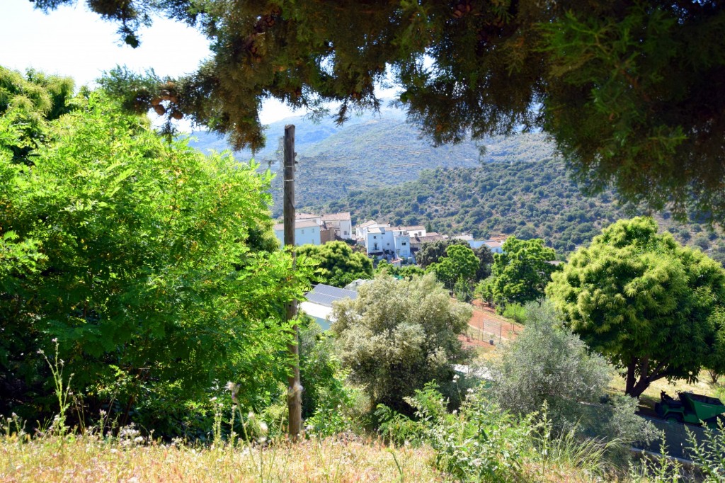 Foto de Parauta (Málaga), España
