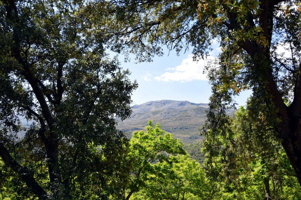 Foto de Parauta (Málaga), España