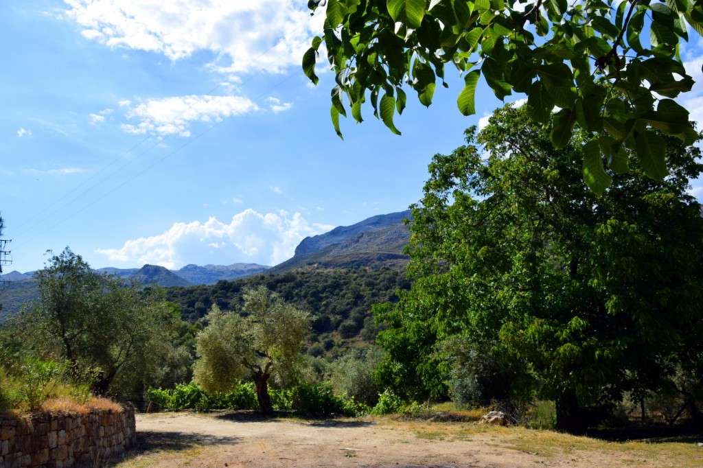 Foto de Parauta (Málaga), España