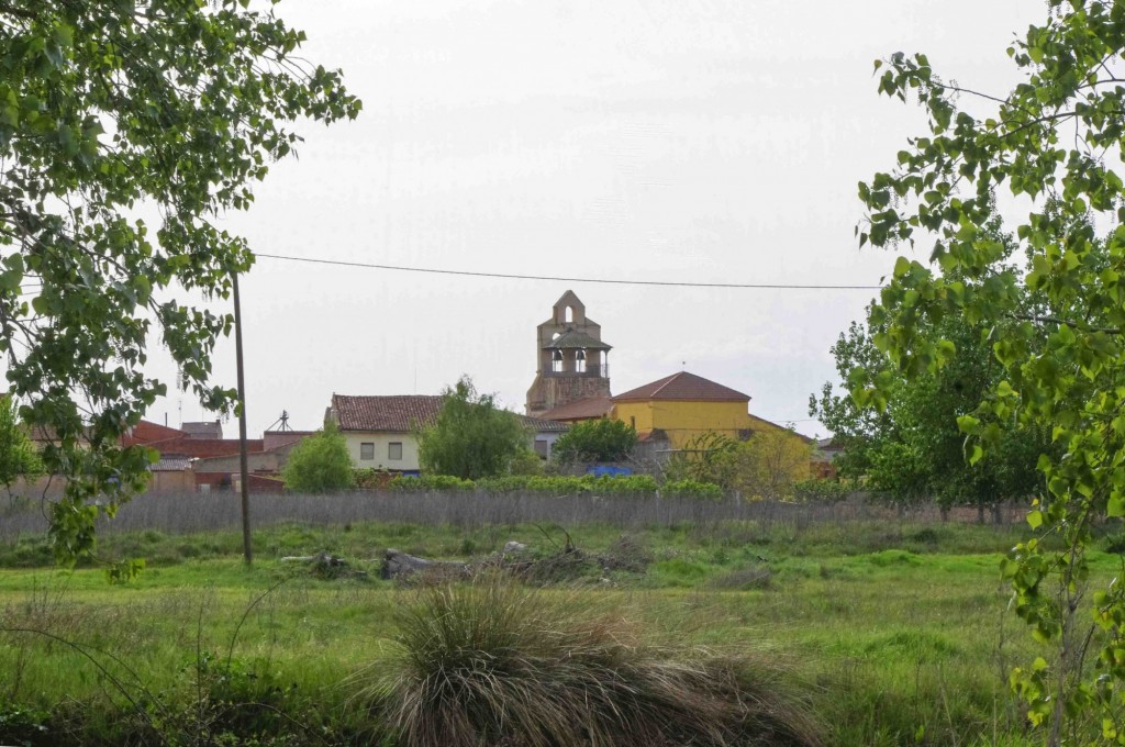 Foto: sobre el verde del campo - Zuares del Páramo (León), España
