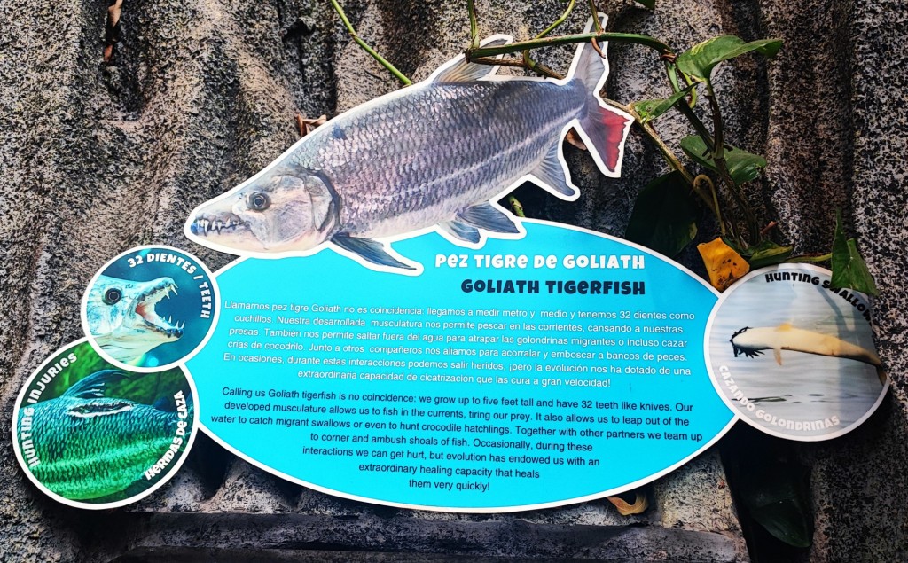 Foto: Acuario Poema del Mar - Las Palmas de Gran Canaria (Las Palmas), España