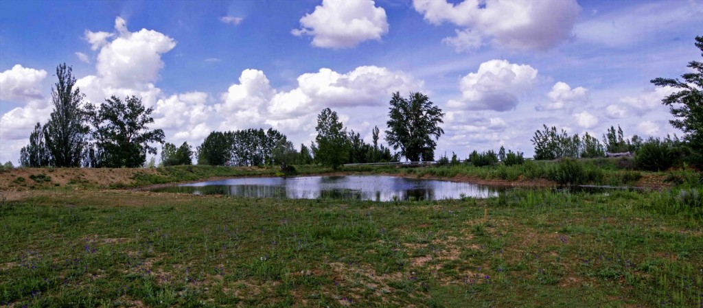 Foto: lago artificial - Zuares del Páramo (León), España