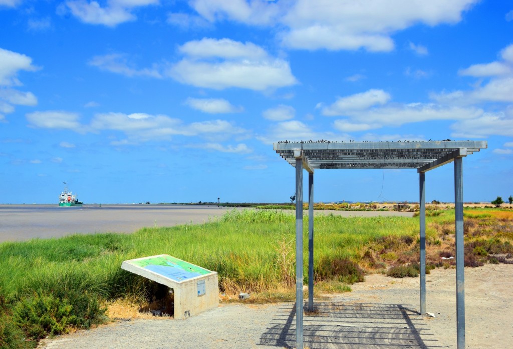 Foto de Trebujena (Cádiz), España