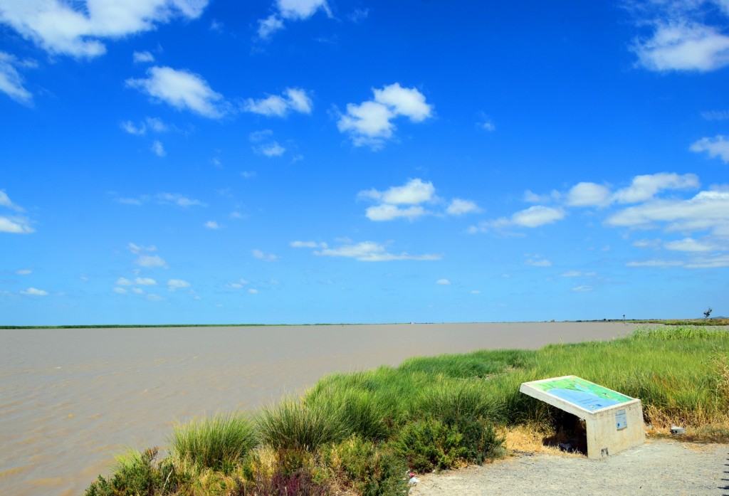 Foto de Trebujena (Cádiz), España