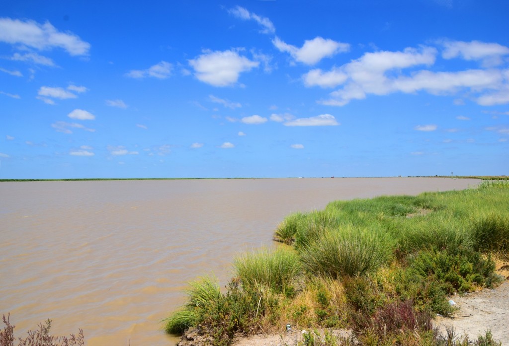 Foto: Caudal del Río Guadalquivir - Trebujena (Cádiz), España