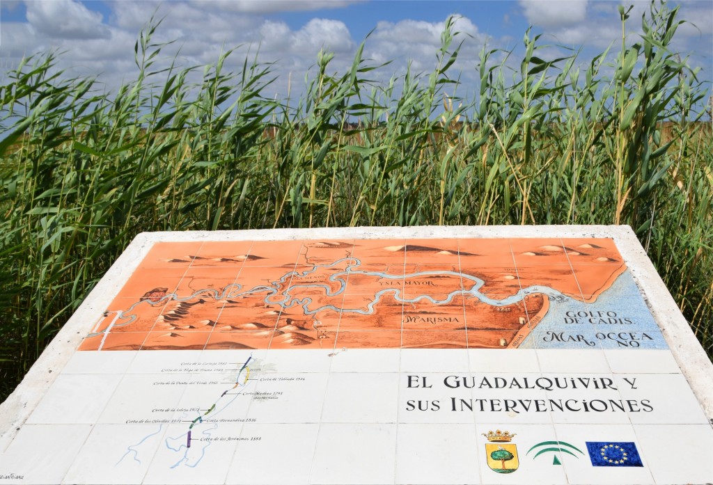 Foto: El Guadalquivir y sus intervenciones - Trebujena (Cádiz), España