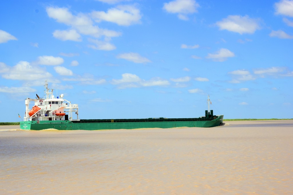 Foto: El Arklow Resolve - Trebujena (Cádiz), España